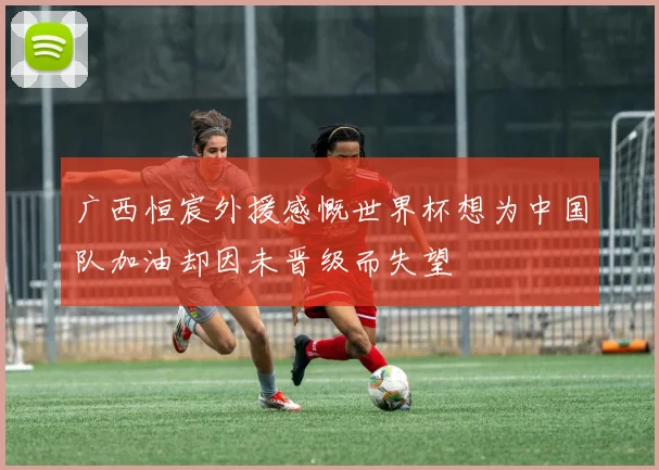 广西恒宸外援感慨世界杯想为中国队加油却因未晋级而失望